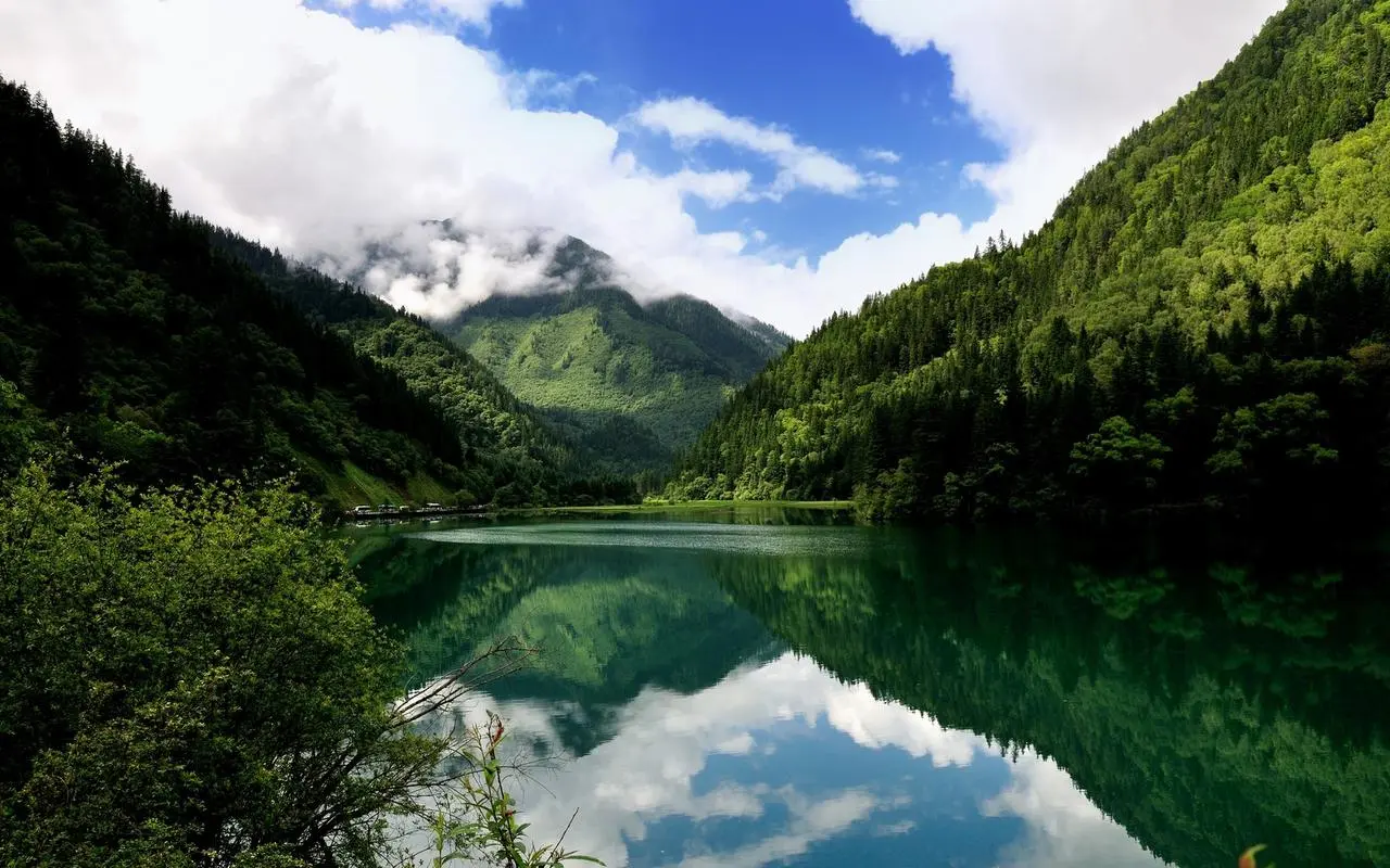 高端智慧